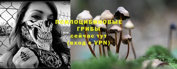 спайс Абдулино