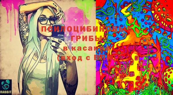 спайс Абдулино
