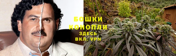 гидропоника Абаза