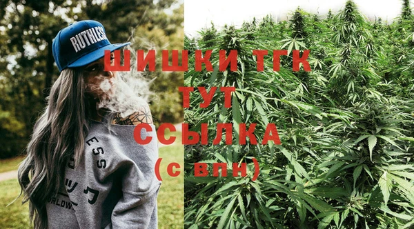 эйфоретик Абинск